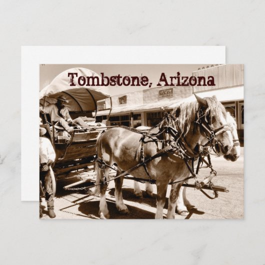 墓石アリゾナの馬の覆われたワゴン葉書 ポストカード (正面/裏面)