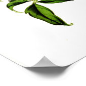 墓石クレマティス ポスター (角)