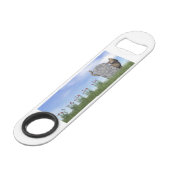 墓碑の近くの悲しい猫 スピード栓抜き (正面アングル)