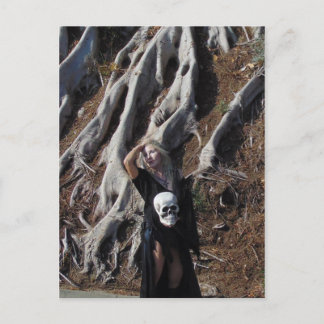 増幅ルーツポストカード ポストカード