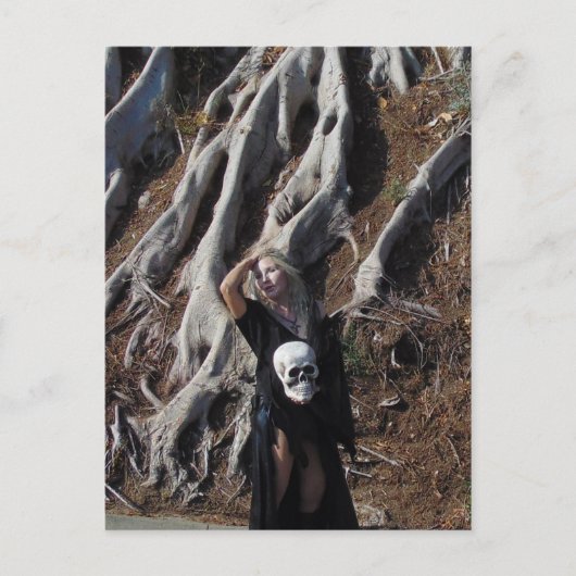 増幅ルーツポストカード ポストカード (正面)