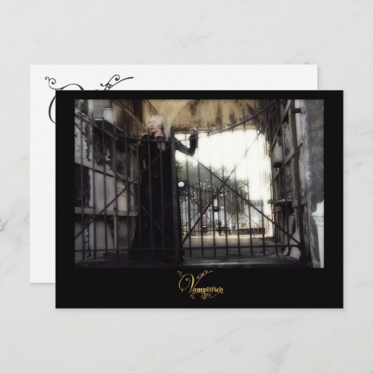 増幅®確定 ポストカード (正面/裏面)