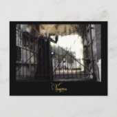 増幅®確定 ポストカード (正面)