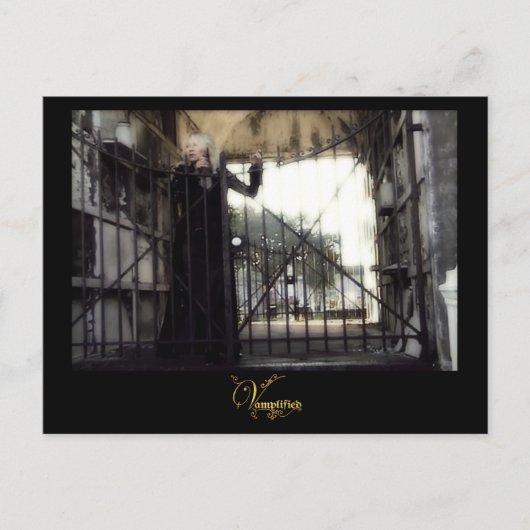 増幅®確定 ポストカード (正面)