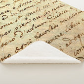 墨書1700書世紀古写本  シェルパブランケット (3/4)