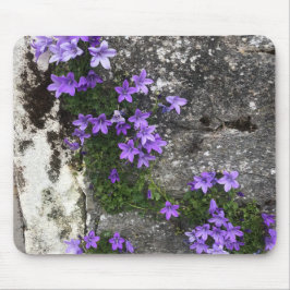 壁で咲くカンパニュラの花 マウスパッド