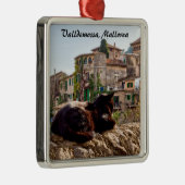 壁で日向ぼっこする猫 - マヨルカ島、ヴァルデモッサ メタルオーナメント (右)