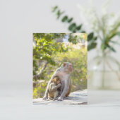 壁には母とベビーのアカゲザル ポストカード (スタンド正面)