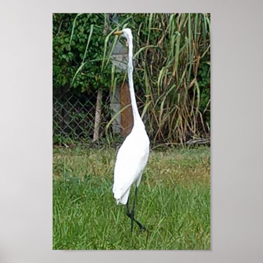 壁にアートを ポスター (正面)