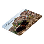 壁に付いた猫の日焼け-バルデモッサ、マロルカ マグネット (左側)