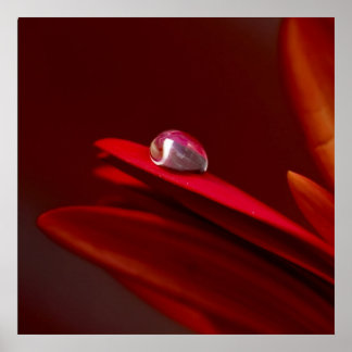 壁に別の煉瓦 ポスター