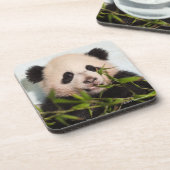 壁に対して傾いているジャイアントパンダ コースター (左側)