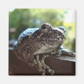壁に掛かる灰色のカエル マグネット (正面)