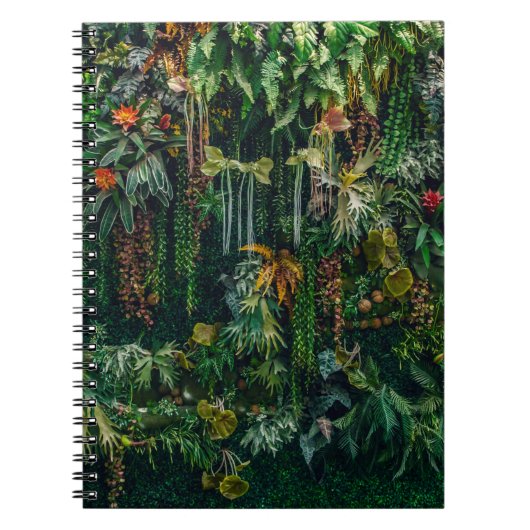 壁に植飾物が生える ノートブック (正面)