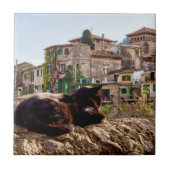 壁に猫の日光浴 – Valldemossa, Mallorca タイル (正面)