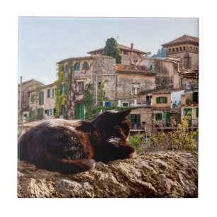壁に猫の日光浴 – Valldemossa, Mallorca タイル