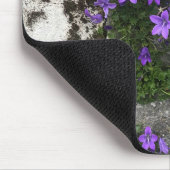 壁に生えるカンパニュラの花 マウスパッド (コーナー)