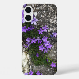 壁に生えるカンパニュラの花 iPhone 16 PLUSケース