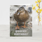 壁に鴨付きおもしろい誕生日カスタムカード カード (黄色い花)