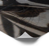 壁のゼブラゼブラ ポスター (角)