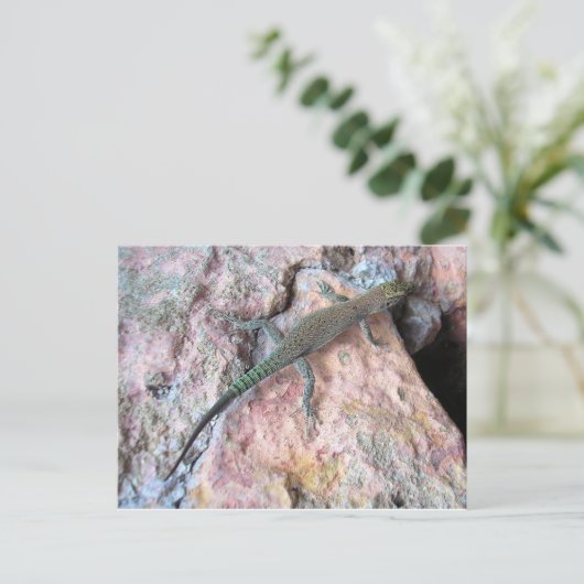 壁のトカゲ ポストカード (スタンド正面)