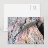 壁のトカゲ ポストカード (正面/裏面)