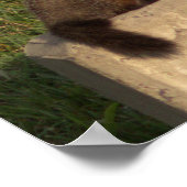 壁のポスターの着飾り ポスター (角)