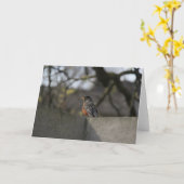 壁のロビン カード (黄色い花)