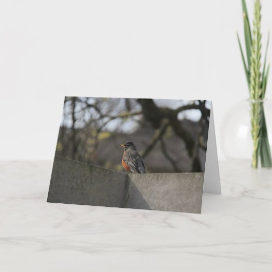 壁のロビン カード (正面)