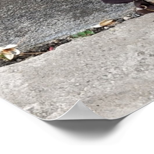 壁の割れ ポスター (角)