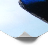 壁の孔雀 ポスター (角)