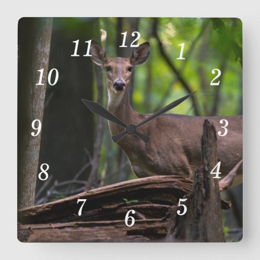 壁の時計をチェックアウトする スクエア壁時計 (正面)