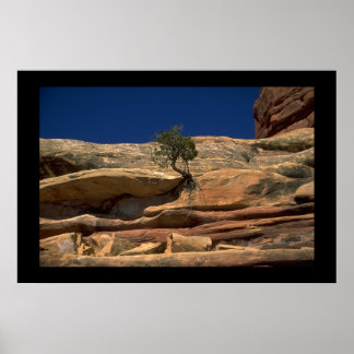 壁の木 ポスター