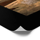 壁の木 ポスター (角)