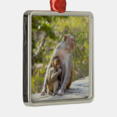 壁の母およびベビーのリーサスマカク属猿 メタルオーナメント (右)