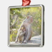 壁の母およびベビーのリーサスマカク属猿 メタルオーナメント (左)
