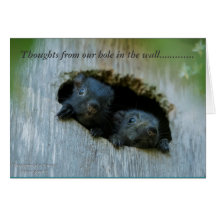 壁の私達の穴からの思考......