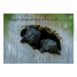 壁の私達の穴からの思考......