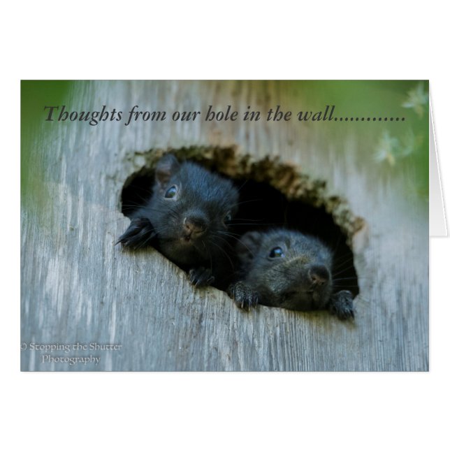 壁の私達の穴からの思考...... (正面横)