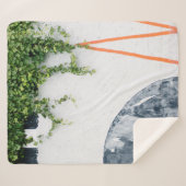 壁の緑のつる植物 シェルパブランケット (正面(横))