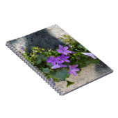 壁の花から ノートブック (右側)