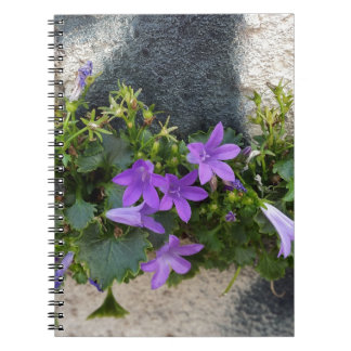 壁の花から ノートブック