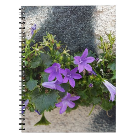 壁の花から ノートブック (正面)