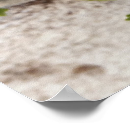 壁の花から ポスター (角)