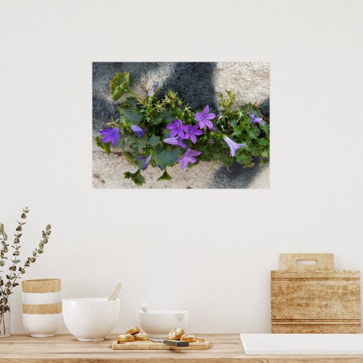 壁の花から ポスター (キッチン)