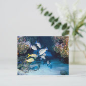 壁はがきの穴 ポストカード (スタンド正面)