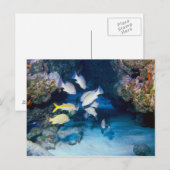 壁はがきの穴 ポストカード (正面/裏面)