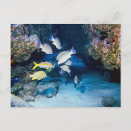 壁はがきの穴 ポストカード