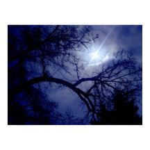 壁サイズツリーシルエットポスター