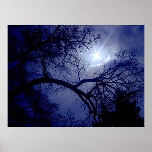 壁サイズツリーシルエットポスター ポスター (正面)
